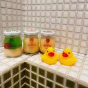 ヒメ日記 2025/11/28 15:59 投稿 ハルヒ ピンクコレクション大阪キタ店