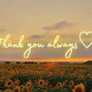 ヒメ日記 2025/12/01 19:07 投稿 ハルヒ ピンクコレクション大阪キタ店