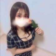 ヒメ日記 2025/11/02 06:12 投稿 ハルヒ ピンクコレクション尼崎店