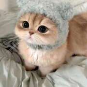 ヒメ日記 2025/08/30 19:05 投稿 ここな モアグループ神栖人妻花壇