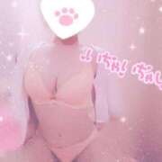 ヒメ日記 2025/09/04 09:07 投稿 ここな モアグループ神栖人妻花壇