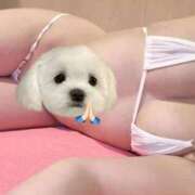 ヒメ日記 2026/09/24 22:03 投稿 MION/みおん　centu STYLISH BACH