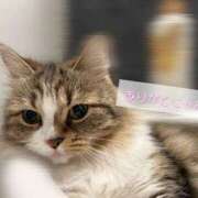 ヒメ日記 2025/10/31 12:47 投稿 すず ベイキュート