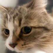 ヒメ日記 2025/10/31 16:07 投稿 すず ベイキュート