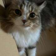 ヒメ日記 2025/11/23 13:37 投稿 すず ベイキュート