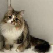 ヒメ日記 2025/12/09 12:47 投稿 すず ベイキュート