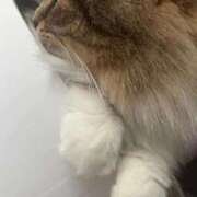 ヒメ日記 2026/02/24 11:37 投稿 すず ベイキュート