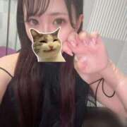 すず 😼💞 ベイキュート