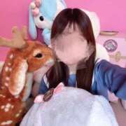 ヒメ日記 2025/09/01 14:30 投稿 のあ 子猫カフェ 小倉店