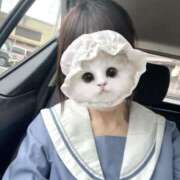 ヒメ日記 2025/09/27 13:01 投稿 のあ 子猫カフェ 小倉店