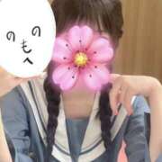 ヒメ日記 2025/09/28 21:19 投稿 のあ 子猫カフェ 小倉店