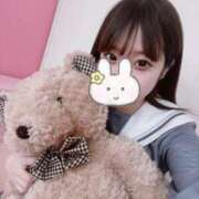 ヒメ日記 2025/10/12 13:31 投稿 のあ 子猫カフェ 小倉店