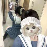 ヒメ日記 2025/10/13 01:27 投稿 のあ 子猫カフェ 小倉店