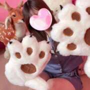 ヒメ日記 2025/10/13 16:16 投稿 のあ 子猫カフェ 小倉店