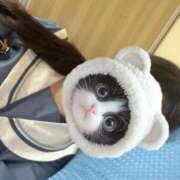 ヒメ日記 2025/10/13 19:54 投稿 のあ 子猫カフェ 小倉店