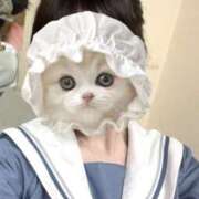 ヒメ日記 2025/10/14 04:15 投稿 のあ 子猫カフェ 小倉店