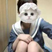 ヒメ日記 2025/10/19 00:27 投稿 のあ 子猫カフェ 小倉店