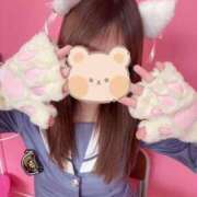 ヒメ日記 2025/11/16 02:00 投稿 のあ 子猫カフェ 小倉店