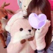 ヒメ日記 2025/11/21 22:23 投稿 のあ 子猫カフェ 小倉店