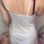 ヒメ日記 2025/11/22 23:59 投稿 のあ 子猫カフェ 小倉店