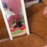 ヒメ日記 2025/11/24 01:45 投稿 のあ 子猫カフェ 小倉店