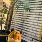 ヒメ日記 2025/10/24 21:09 投稿 鷲尾じゅん ドクトル・ストレッチ