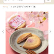 ヒメ日記 2026/02/05 12:44 投稿 鷲尾じゅん ドクトル・ストレッチ