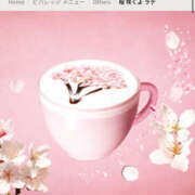 ヒメ日記 2026/02/20 19:55 投稿 鷲尾じゅん ドクトル・ストレッチ