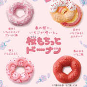 ヒメ日記 2026/03/15 12:05 投稿 鷲尾じゅん ドクトル・ストレッチ