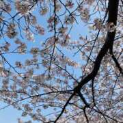 ヒメ日記 2026/03/29 20:10 投稿 鷲尾じゅん ドクトル・ストレッチ