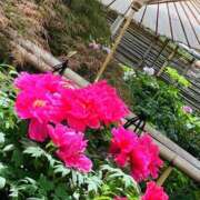 ヒメ日記 2026/04/16 20:59 投稿 鷲尾じゅん ドクトル・ストレッチ