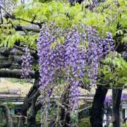 ヒメ日記 2026/04/20 11:46 投稿 鷲尾じゅん ドクトル・ストレッチ