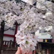 ヒメ日記 2026/03/29 10:08 投稿 かんな 素人アロマエステ東京密着ROOM 渋谷店