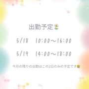 ヒメ日記 2026/05/18 08:26 投稿 目黒いおり なめこ治療院（横浜ハレ系）