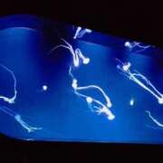 ヒメ日記 2025/11/19 18:58 投稿 雪乃 フォーシーズン