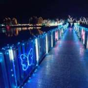 ヒメ日記 2025/12/02 19:39 投稿 雪乃 フォーシーズン