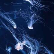 ヒメ日記 2025/12/04 09:48 投稿 雪乃 フォーシーズン