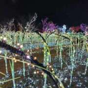 雪乃 ⚠12月残りのご予約について⚠ フォーシーズン