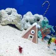 雪乃 12月のご予約を締め切ります フォーシーズン