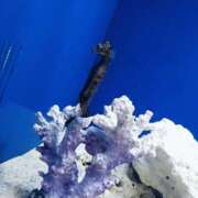 雪乃 (ง  ᵕωᵕ)ว♪ フォーシーズン