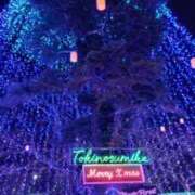 雪乃 もう年末 フォーシーズン