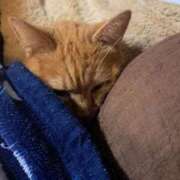 ヒメ日記 2025/08/28 10:47 投稿 るる 熟女の風俗最終章 宇都宮店