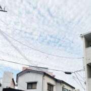 ヒメ日記 2025/11/18 09:26 投稿 ここな 熟女家 京橋店