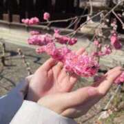 ヒメ日記 2026/03/18 14:16 投稿 ここな 熟女家 京橋店