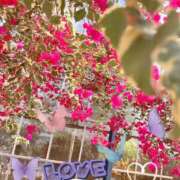 ヒメ日記 2026/03/16 22:19 投稿 柚乃菜帆 お姉さんCLUB