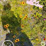 ヒメ日記 2026/03/20 10:03 投稿 柚乃菜帆 お姉さんCLUB