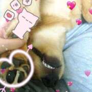 柚乃菜帆 だーいすきっ💓🐶 お姉さんCLUB