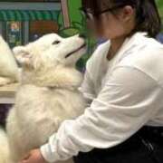 ヒメ日記 2025/08/31 10:02 投稿 あやね 蒲田ウルトラギャラクシー