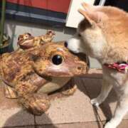 ヒメ日記 2025/11/28 10:40 投稿 あやね 蒲田ウルトラギャラクシー