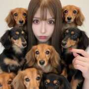 ヒメ日記 2025/12/20 00:31 投稿 こなん 埼玉ちゅっぱ川越店